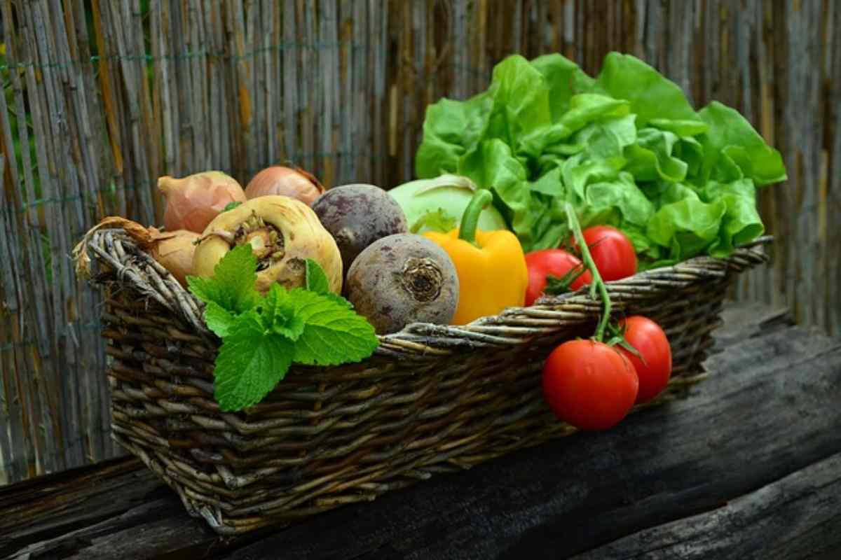 Ecco cosa mangiare per stare bene