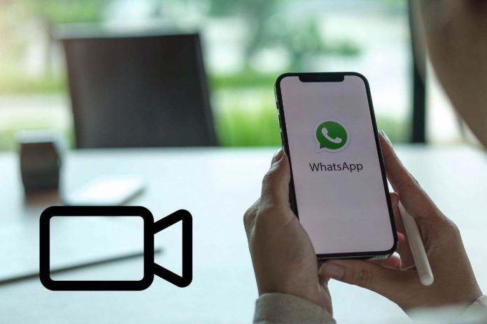 whatsapp novità